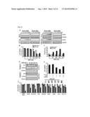 METHOD FOR SCREENING AN AGENT PREVENTING OR TREATING CANCER USING     GLYCYL-TRNA SYNTHETASE AND CADHERIN diagram and image