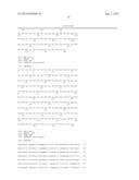 METHOD FOR SCREENING AN AGENT PREVENTING OR TREATING CANCER USING     GLYCYL-TRNA SYNTHETASE AND CADHERIN diagram and image