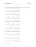 METHOD FOR SCREENING AN AGENT PREVENTING OR TREATING CANCER USING     GLYCYL-TRNA SYNTHETASE AND CADHERIN diagram and image