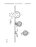 Degradable Clostridial Toxins diagram and image