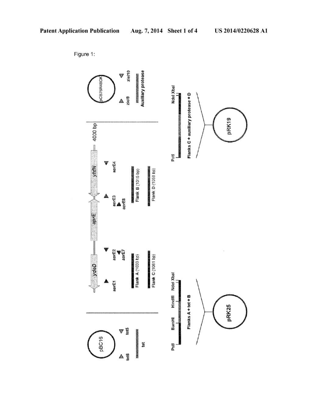 EXPRESSION METHOD - diagram, schematic, and image 02