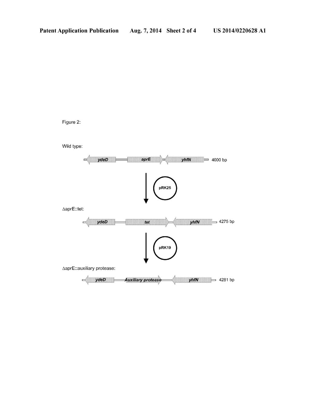 EXPRESSION METHOD - diagram, schematic, and image 03