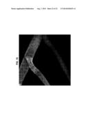 NOVEL BRANCHIOSTOMA DERIVED FLUORESCENT PROTEINS diagram and image