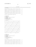 Rapid Screening Method of Translational Fusion Partners for Producing     Recombinant Proteins and Translational Fusion Partners Screened Therefrom diagram and image