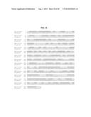 Engineered Sequences to Facilitate Expression of Antigens in Neisseria and     Methods of Use diagram and image