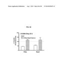 Engineered Sequences to Facilitate Expression of Antigens in Neisseria and     Methods of Use diagram and image