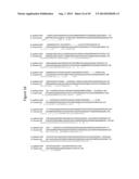 ALGAL MUTANTS HAVING A LOCKED-IN HIGH LIGHT ACCLIMATED PHENOTYPE diagram and image