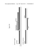 ALGAL MUTANTS HAVING A LOCKED-IN HIGH LIGHT ACCLIMATED PHENOTYPE diagram and image