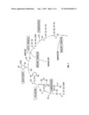 RECOMBINANT PRODUCTION SYSTEMS FOR AROMATIC MOLECULES diagram and image