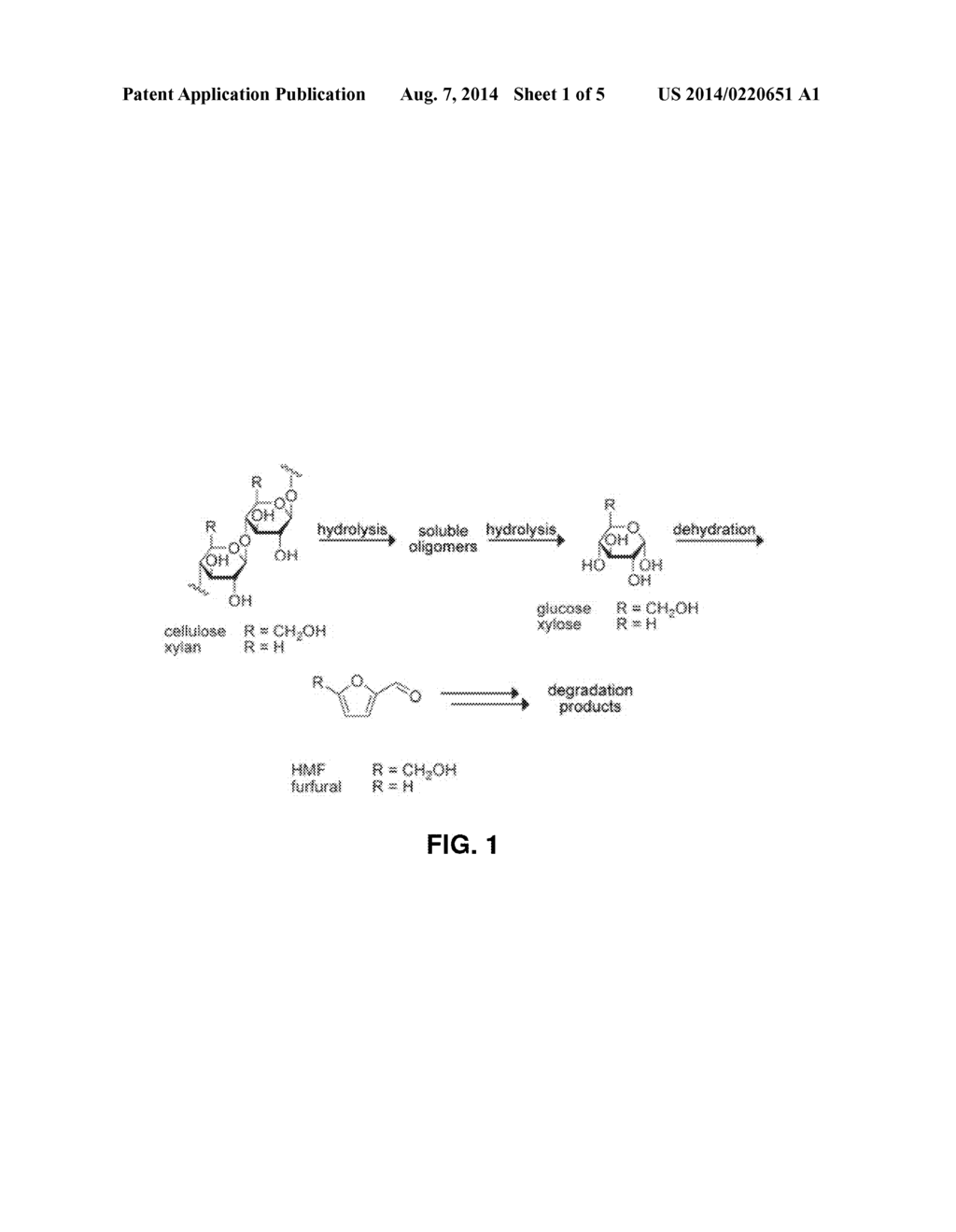 BIOMASS HYDROLYSIS - diagram, schematic, and image 02