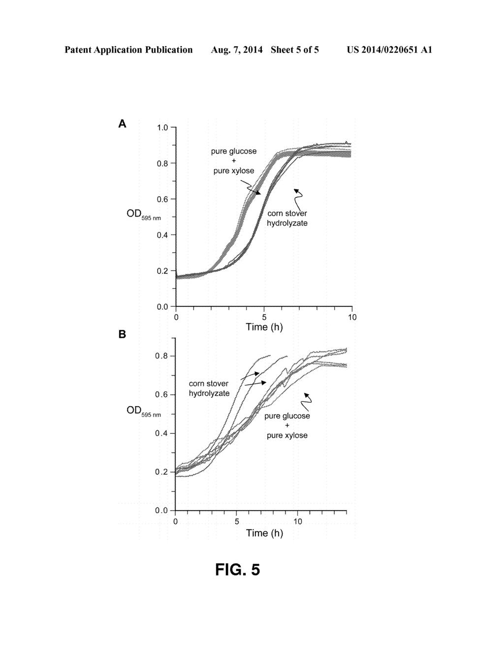 BIOMASS HYDROLYSIS - diagram, schematic, and image 06