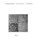 COMPOSITION COMPRISING OXYGEN-RELEASING MICROCAPSULES CONTAINING HYDROGEN     PEROXIDE FOR ENHANCING CELL PROTECTION AND VIABILITY AT ROOM TEMPERATURE diagram and image