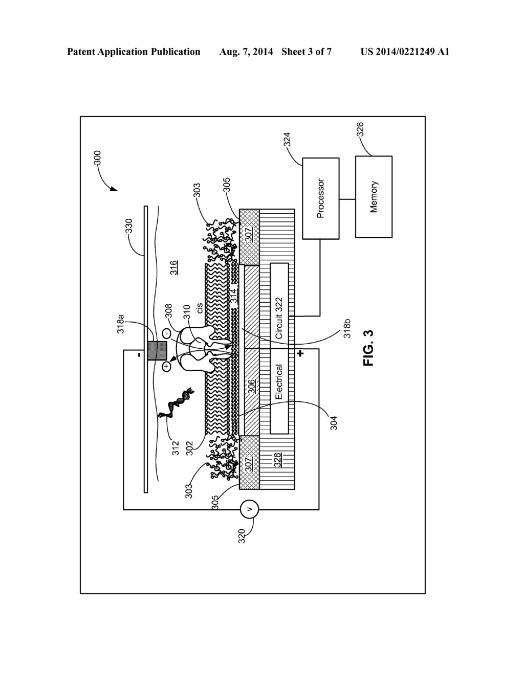 NANOPORE ARRAYS - diagram, schematic, and image 04