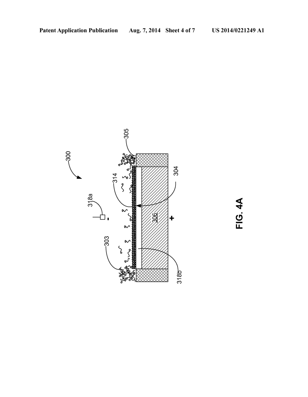 NANOPORE ARRAYS - diagram, schematic, and image 05