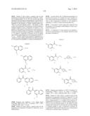 KINASE INHIBITORS diagram and image