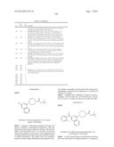 KINASE INHIBITORS diagram and image