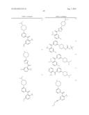 KINASE INHIBITORS diagram and image