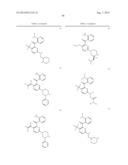 KINASE INHIBITORS diagram and image