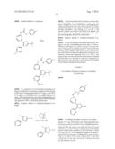 RAF KINASE INHIBITORS diagram and image