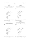 RAF KINASE INHIBITORS diagram and image