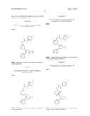 RAF KINASE INHIBITORS diagram and image