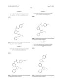 RAF KINASE INHIBITORS diagram and image