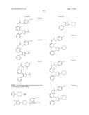 RAF KINASE INHIBITORS diagram and image