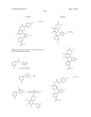 RAF KINASE INHIBITORS diagram and image