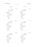 RAF KINASE INHIBITORS diagram and image