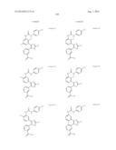 RAF KINASE INHIBITORS diagram and image