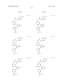 RAF KINASE INHIBITORS diagram and image