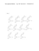 RAF KINASE INHIBITORS diagram and image