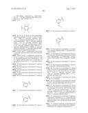 RAF KINASE INHIBITORS diagram and image