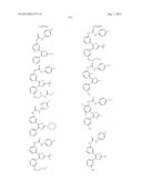 RAF KINASE INHIBITORS diagram and image