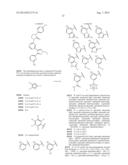 RAF KINASE INHIBITORS diagram and image