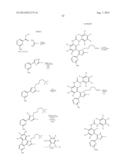 RAF KINASE INHIBITORS diagram and image