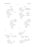 RAF KINASE INHIBITORS diagram and image