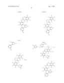 RAF KINASE INHIBITORS diagram and image