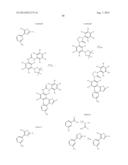 RAF KINASE INHIBITORS diagram and image