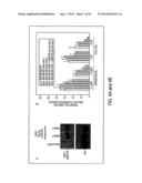 THERAPEUTIC COMPOUNDS AND METHODS diagram and image