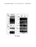 THERAPEUTIC COMPOUNDS AND METHODS diagram and image