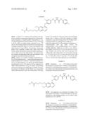 Quinolyl-containing Hydroxamic Acid Compound and Preparation Method     Thereof, and Pharmaceutical Composition Containing This Compound and Use     Thereof diagram and image