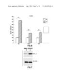 Method of Diagnosis or Prognosis of a Neoplasm Comprising Determining the     Level of Expression of a Protein in Stromal Cells Adjacent to the     Neoplasm diagram and image