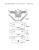 SHAPED COILS FOR TRANSCRANIAL MAGNETIC STIMULATION diagram and image