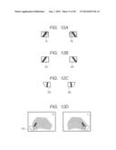 STEREO ENDOSCOPE APPARATUS AND IMAGE PROCESSING METHOD diagram and image