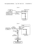 ENHANCED OPTICAL ANGIOGRAPHY USING INTENSITY CONTRAST AND PHASE CONTRAST     IMAGING METHODS diagram and image