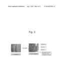 OXIDATITIVE PHOTOACTIVATED SKIN REJEUVENATION COMPOSITION COMPRISING     HYALURONIC ACID, GLUCOSAMINE, OR ALLANTOIN diagram and image