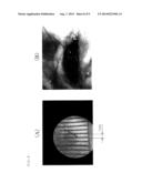 IMPLANT FOR LIVING BODY, METHOD FOR ADJUSTING DRUG RELEASE DENSITY FROM     THE IMPLANT, AND METHOD FOR TREATMENT USING THE IMPLANT diagram and image