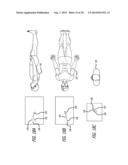 ENDOSCOPE STRUCTURES AND TECHNIQUES FOR NAVIGATING TO A TARGET IN A     BRANCHED STRUCTURE diagram and image