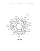 Heart Valve Prosthesis diagram and image